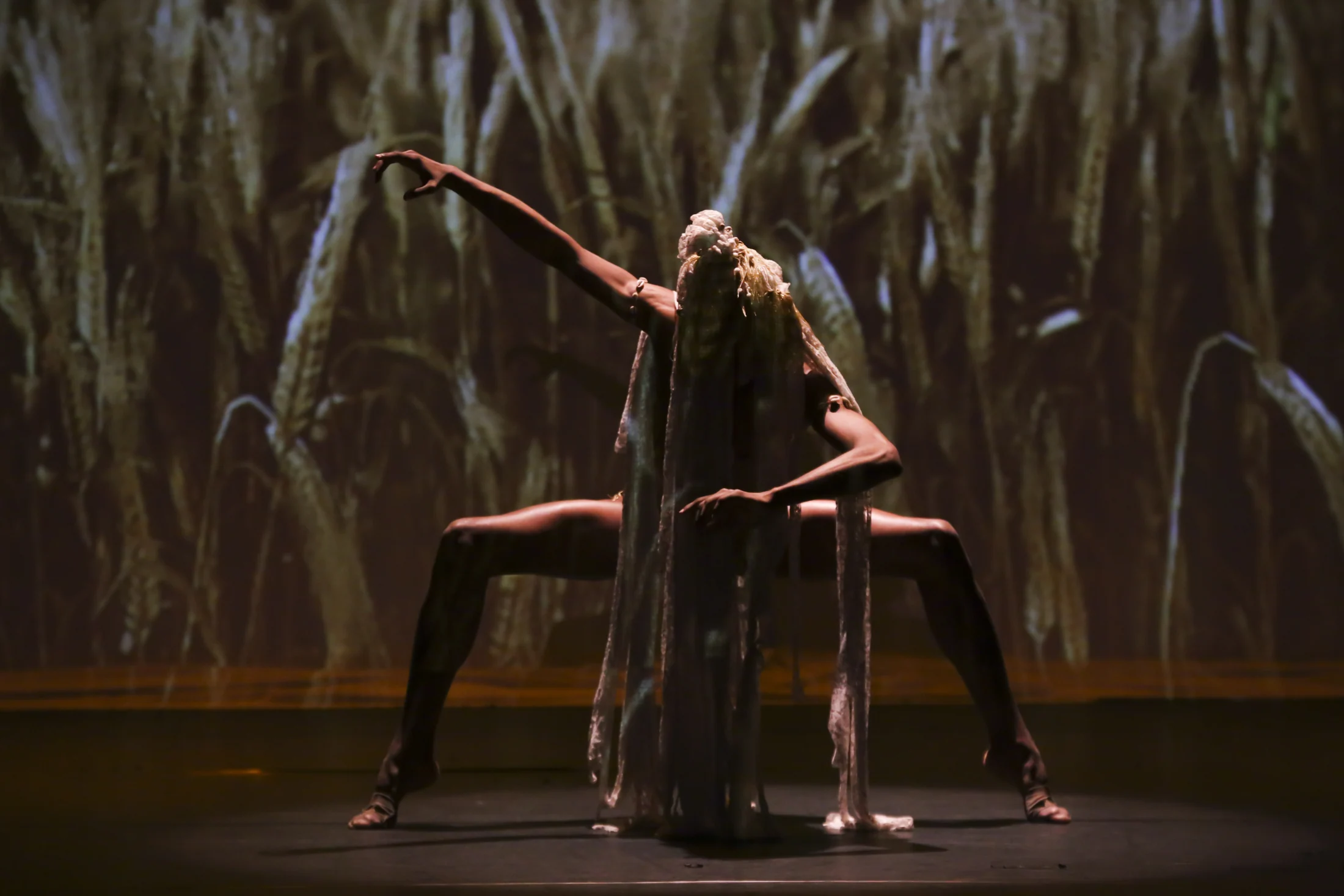Cena de abertura de Travessia Ancestralidade EBÍ em Lençóis Paulista